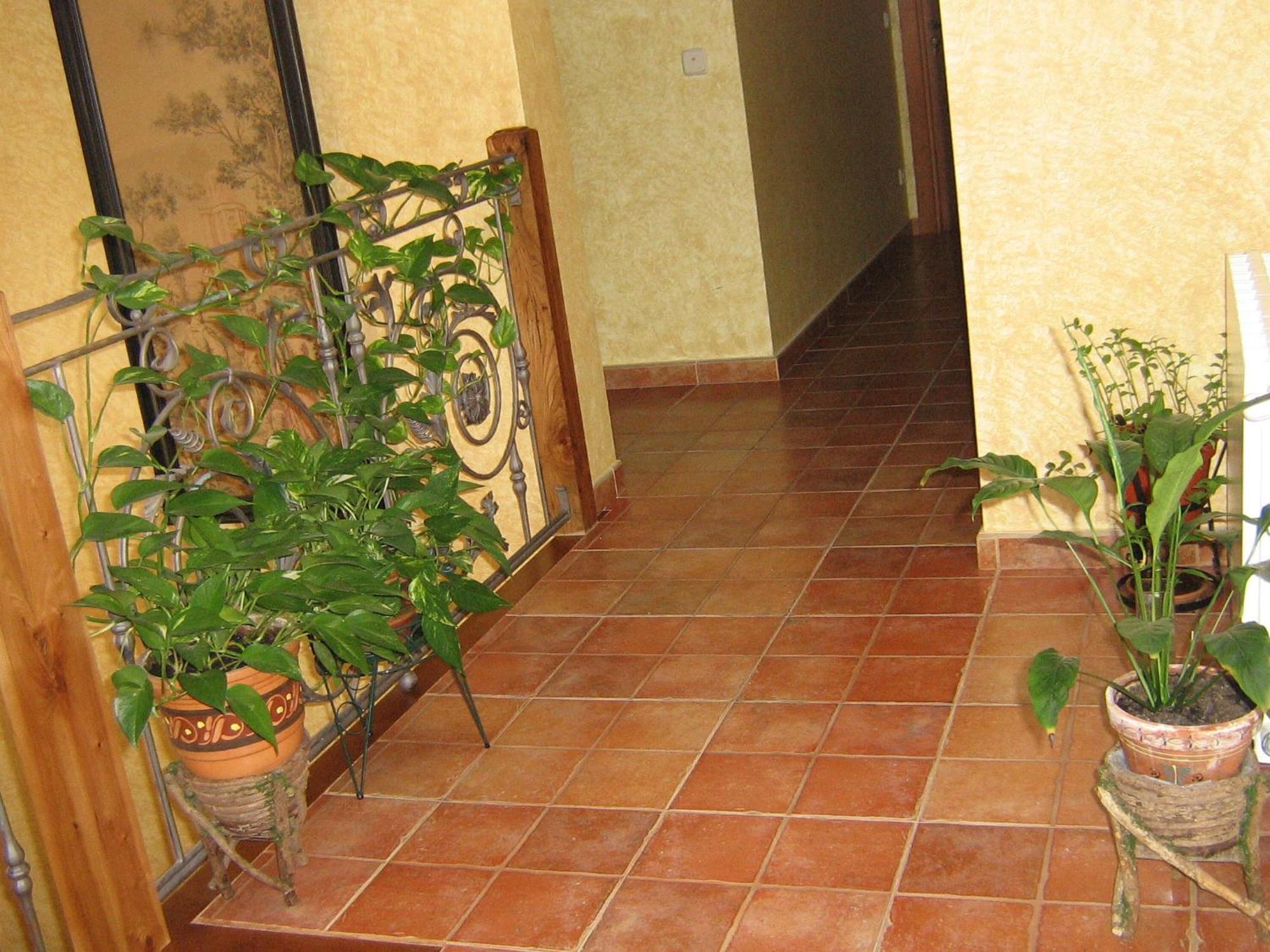 Hotel Rural El Museo Cedillo de la Torre Exterior foto